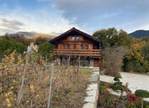 chalet à Savièse en bordure de forêt